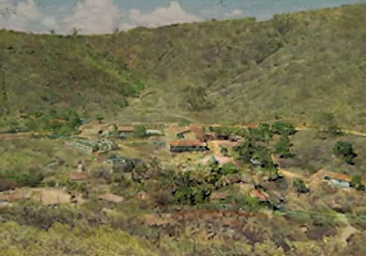 A FONDO - SALGADO_GRILLA_VIDEO