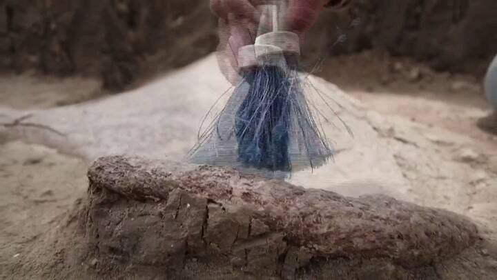 Hallan restos de 14 mamuts en el centro de México - Fuente: AFP