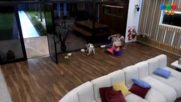 Cómo Hicieron Martín Y Paloma Para Salvarle La Vida Al Perro Arturo En Gran Hermano Ciudad Magazine