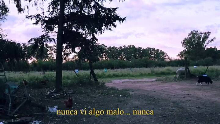 Luisito comunica en Epecuén - Fuente: YouTube