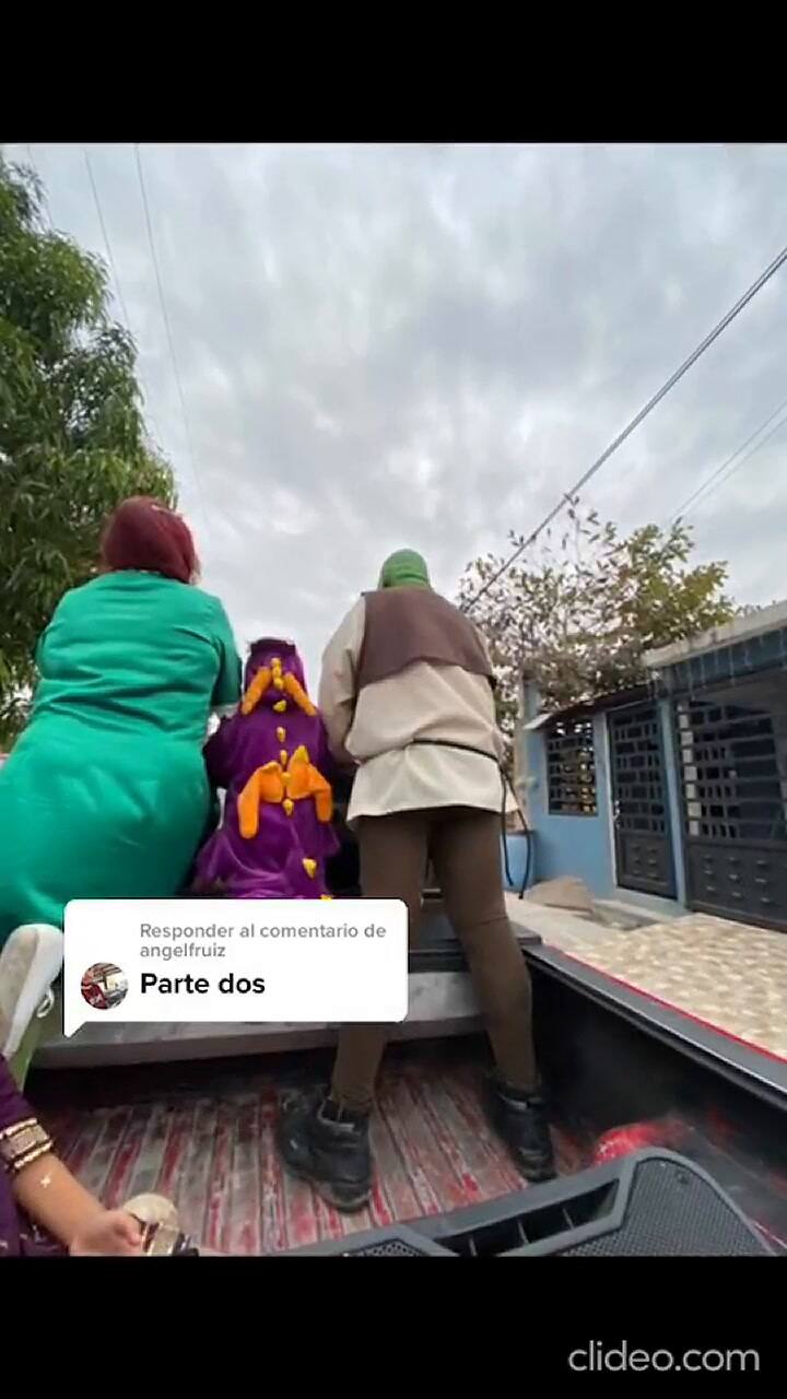 Una pareja mexicana se disfrazó de Shrek y Fiona para casarse