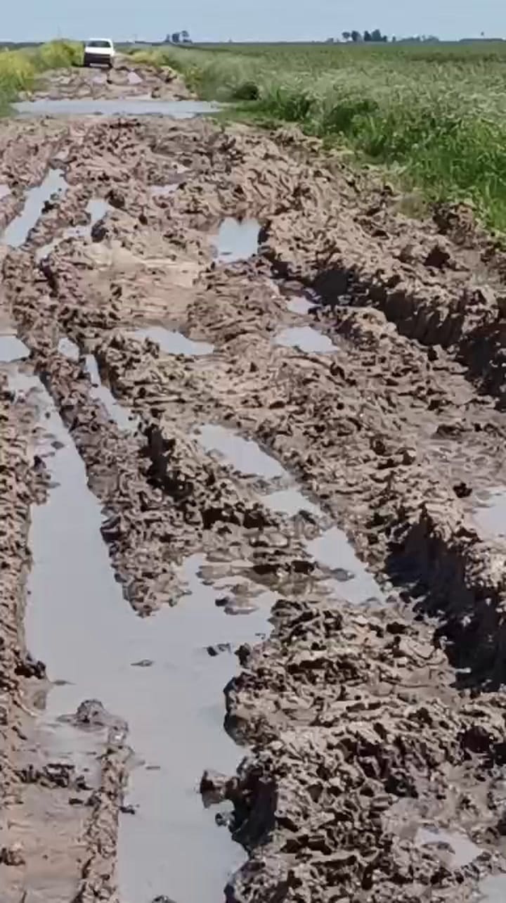 La situación, dicen, es caótica