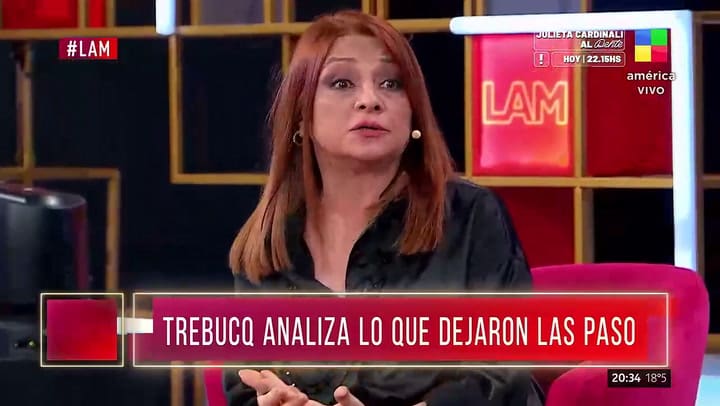 Trebucq se cruzó fuerte en vivo en LAM con Marcela Feudale por los resultados de las PASO