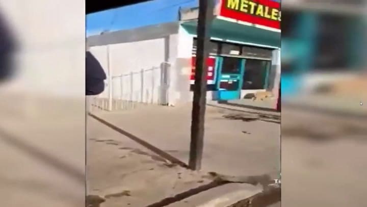 Un tiktoker mostró lo que vale el peso argentino en monedas como metales