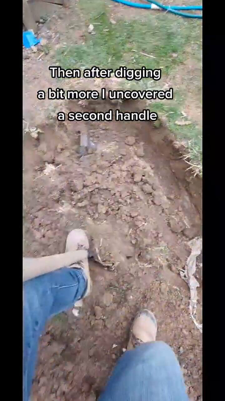 Un hombre desenterró una caja de su patio y descubrió algo asqueroso