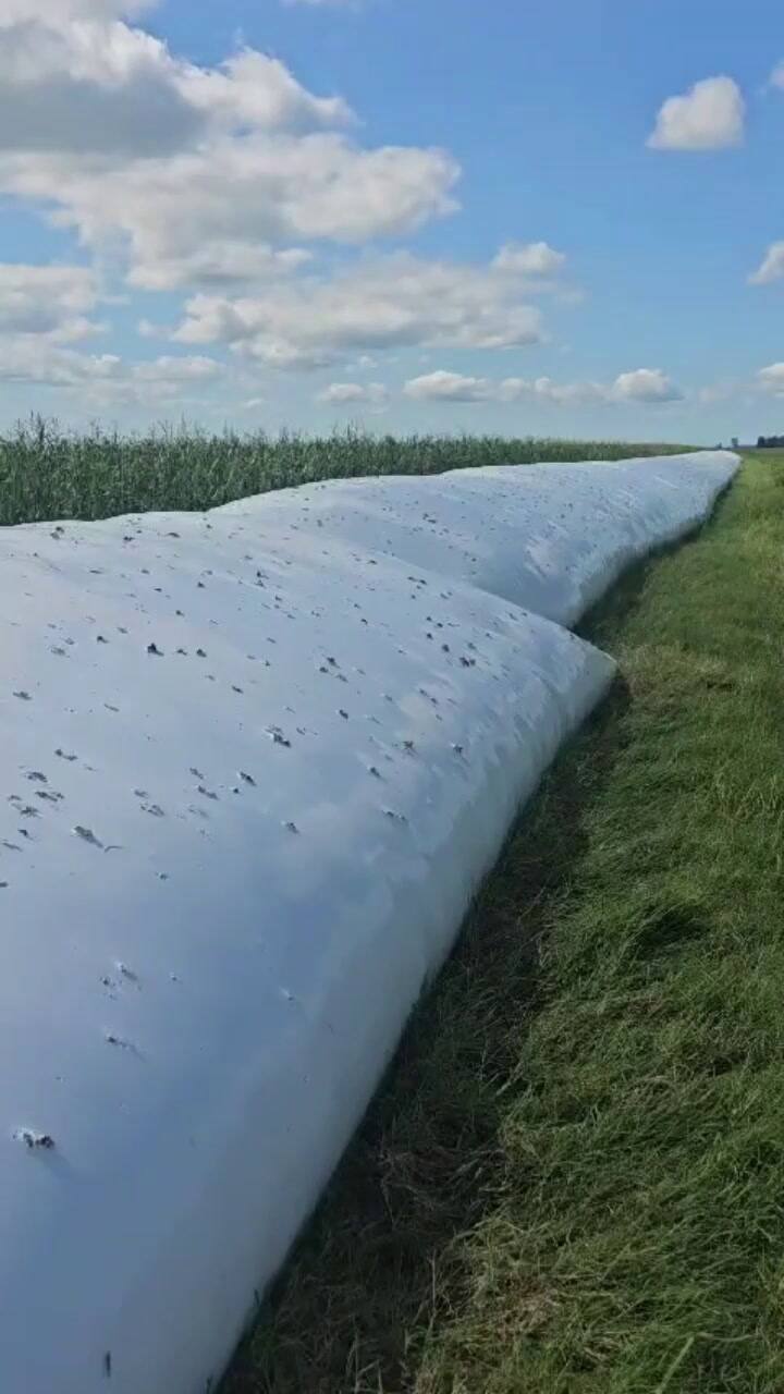 Silobolsa dañado por el granizo