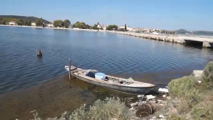 Telarañas gigantes en Grecia - Fuente: YouTube