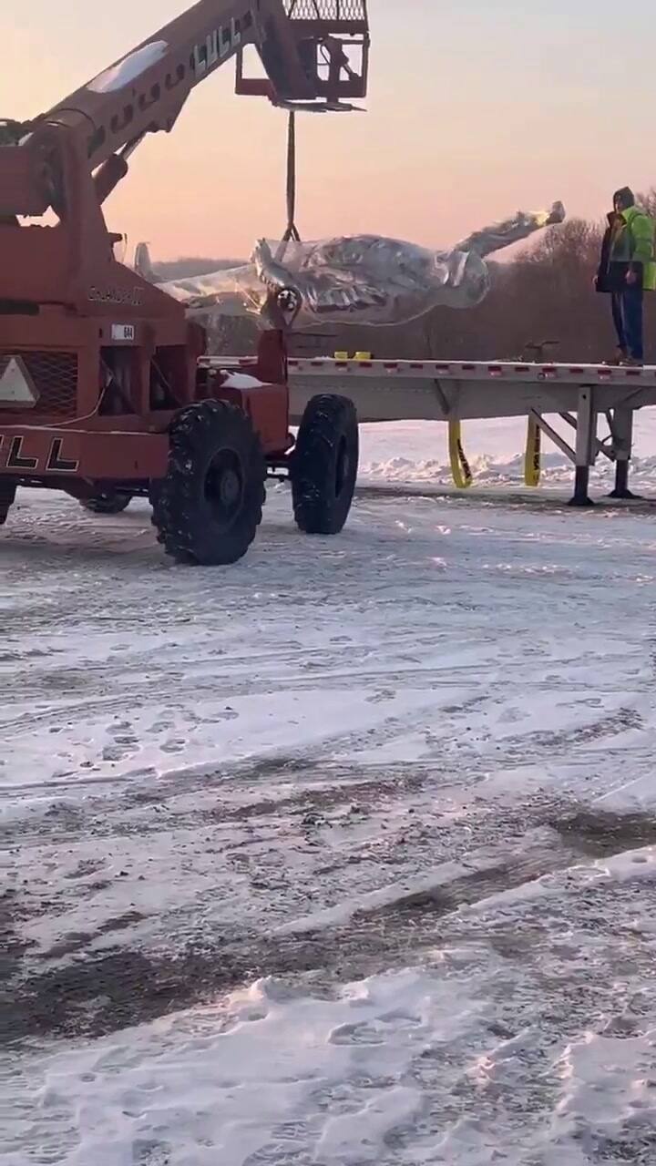 Don Colossus fue enviada a Washington D. C. a principios de enero de 2025