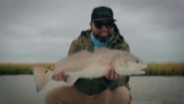 El sorprendente hallazgo de un pez con dientes en un estanque de Miami