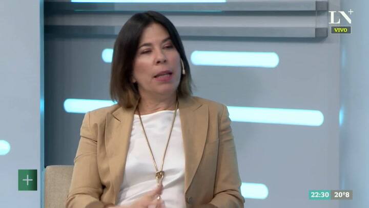 Juan Gabriel Tokatlian, sobre el rol de la defensa argentina