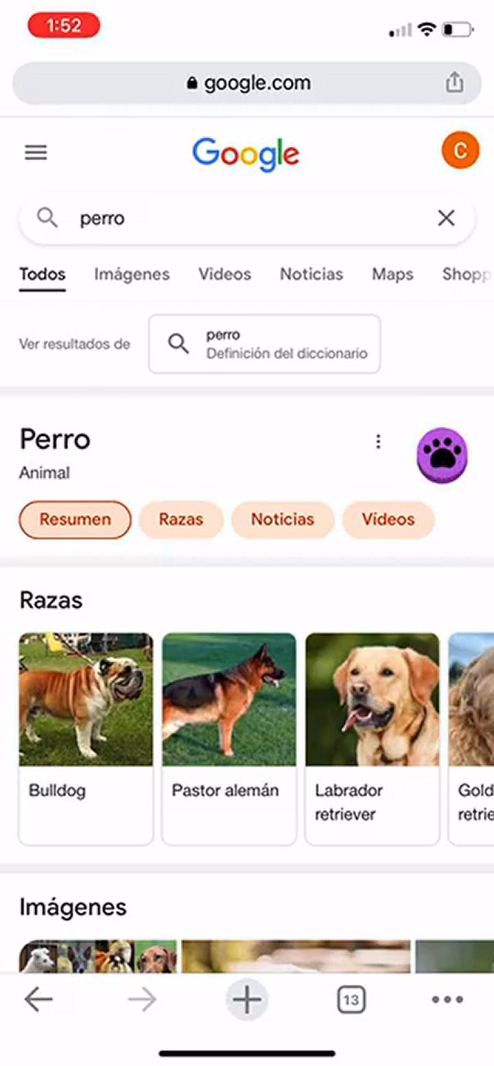 Esto pasa cuando buscás 'perro' o 'gato' en Google