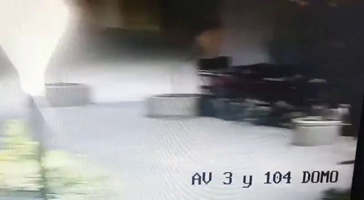 Se alerta a la comunidad por la presencia de pumas en Villa Gesell