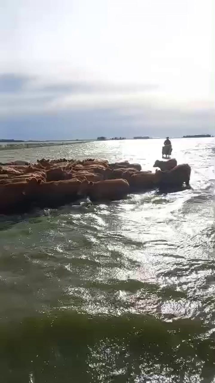 Inundaciones en campos de la zona de Bolívar (Facebook Carlos Moreno)