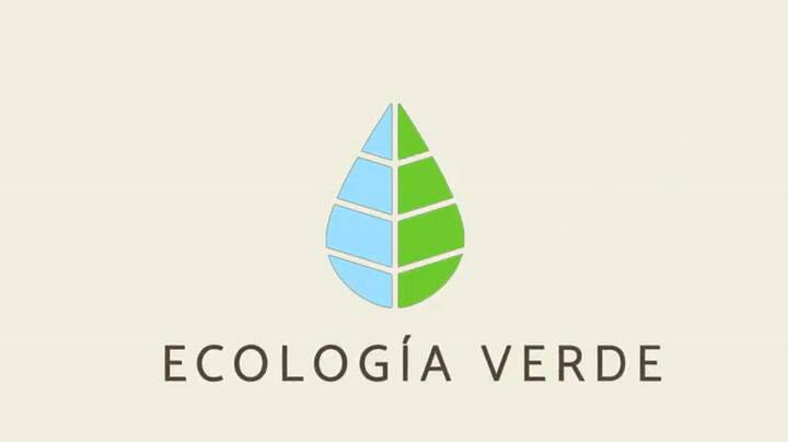 Y2meta.app-beneficios De La Salvia �� (Propiedades, Para Qué Sirve Y Usos)-(480p)