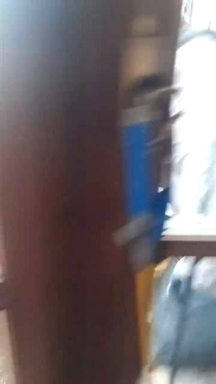 Así rescataron a un puma que se refugió en una casa en San Salvador de Jujuy - Fuente: YouTube