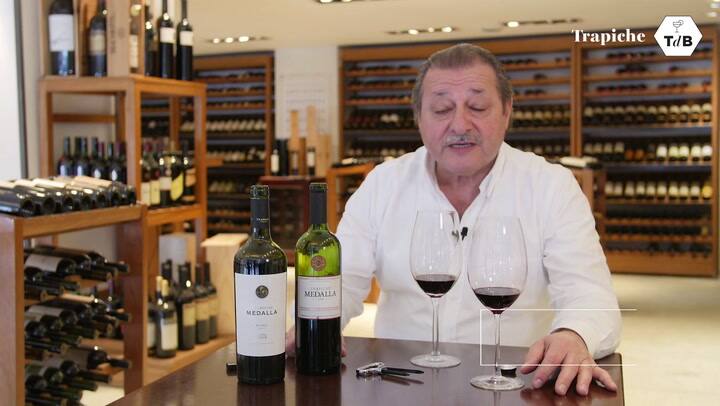 Tdb 31 Trapiche - Vinos De Guarda