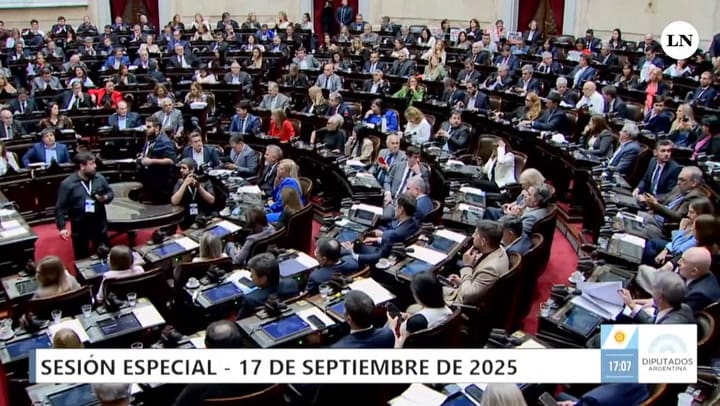 La oposición en Diputados logró resistir el veto de Milei al financiamiento del hospital Garrahan