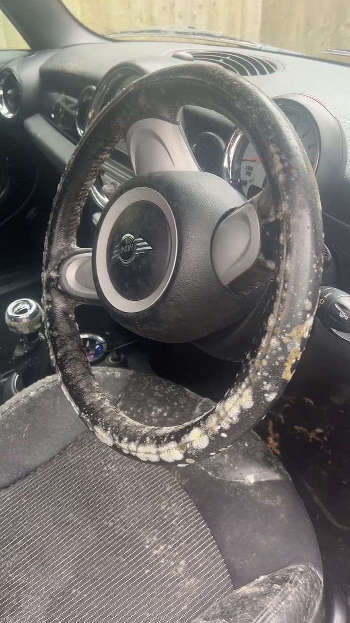 Ssstik.io 1706101380765