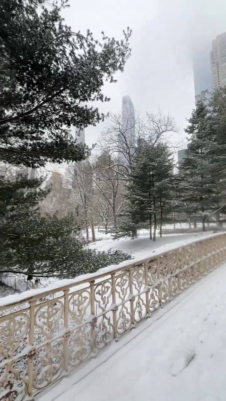 Las imágenes más impactantes de la primera nevada en Nueva York en los últimos dos años