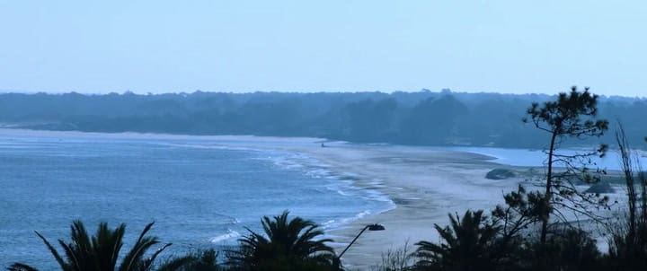 Trailer de Los últimos románticos - Fuente: YouTube