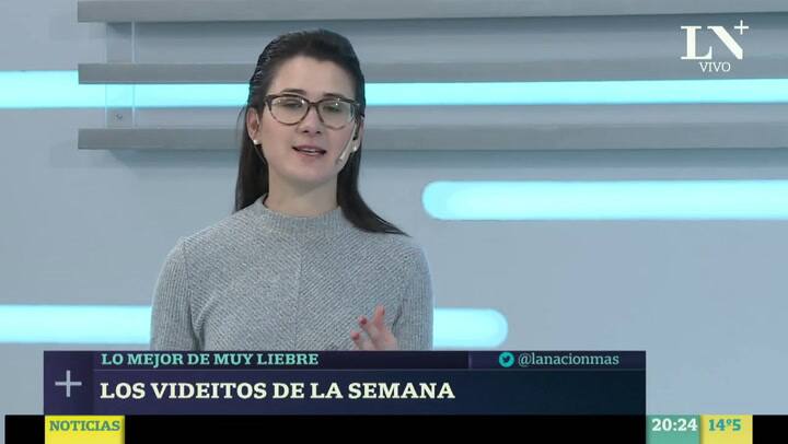 Los cuatro videos virales de la semana