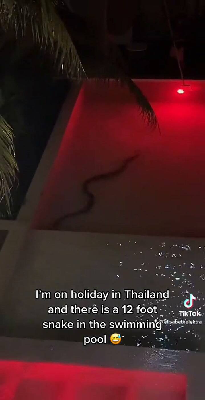 La tiktoker bromeó con su anécdota y colocó una divertida canción al video