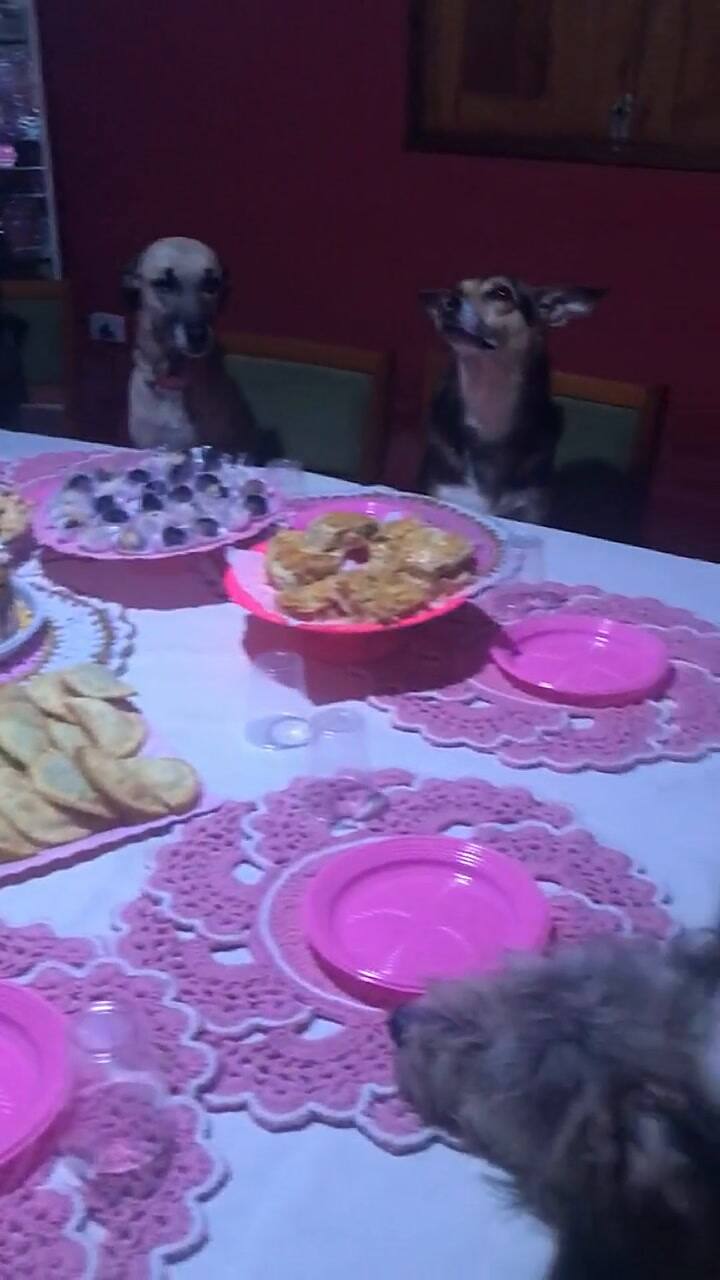 La abuela que festejó su cumpleaños con sus diez perros