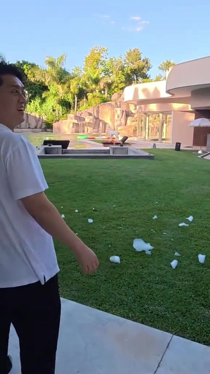 Así es la casa de Carlos Tevez