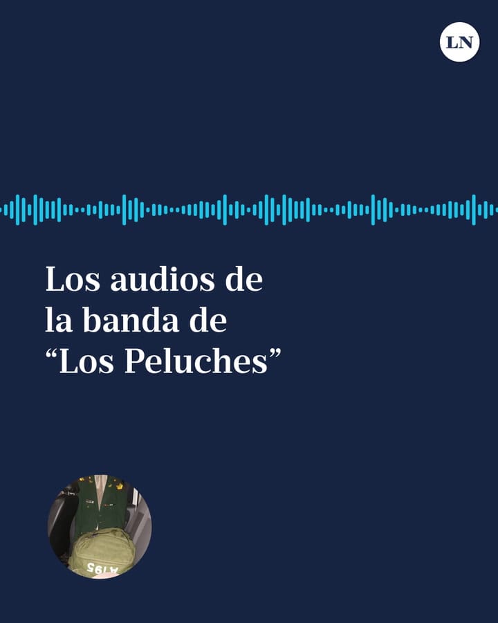 Los audios de la banda de “Los Peluches”