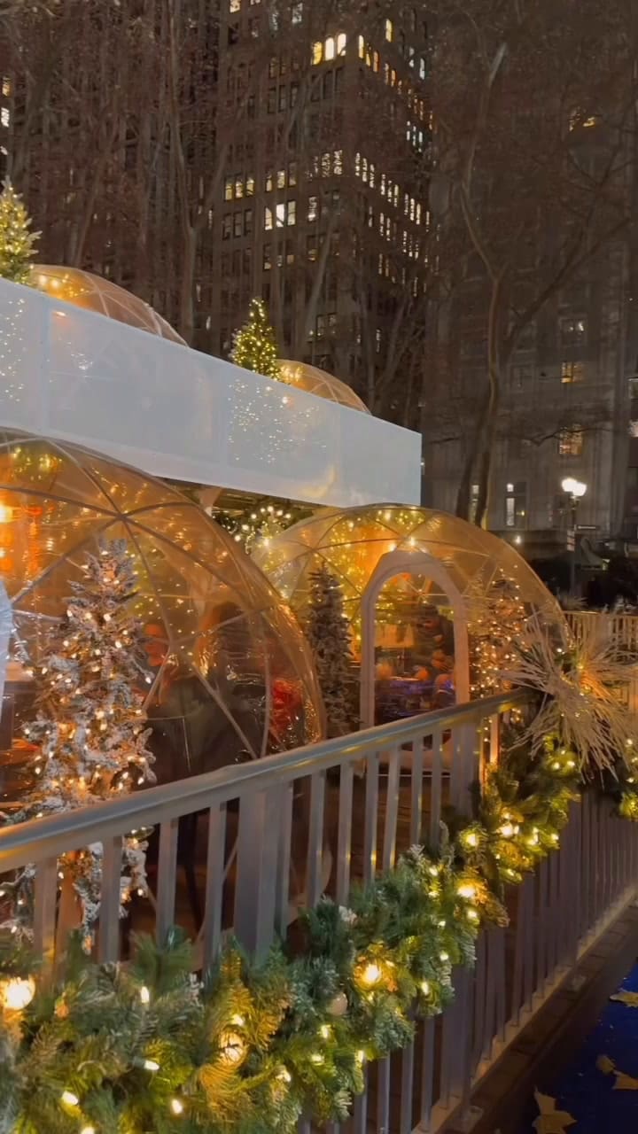 It's not at Rockefeller Center: When they light the Christmas tree that not everyone knows about in New York