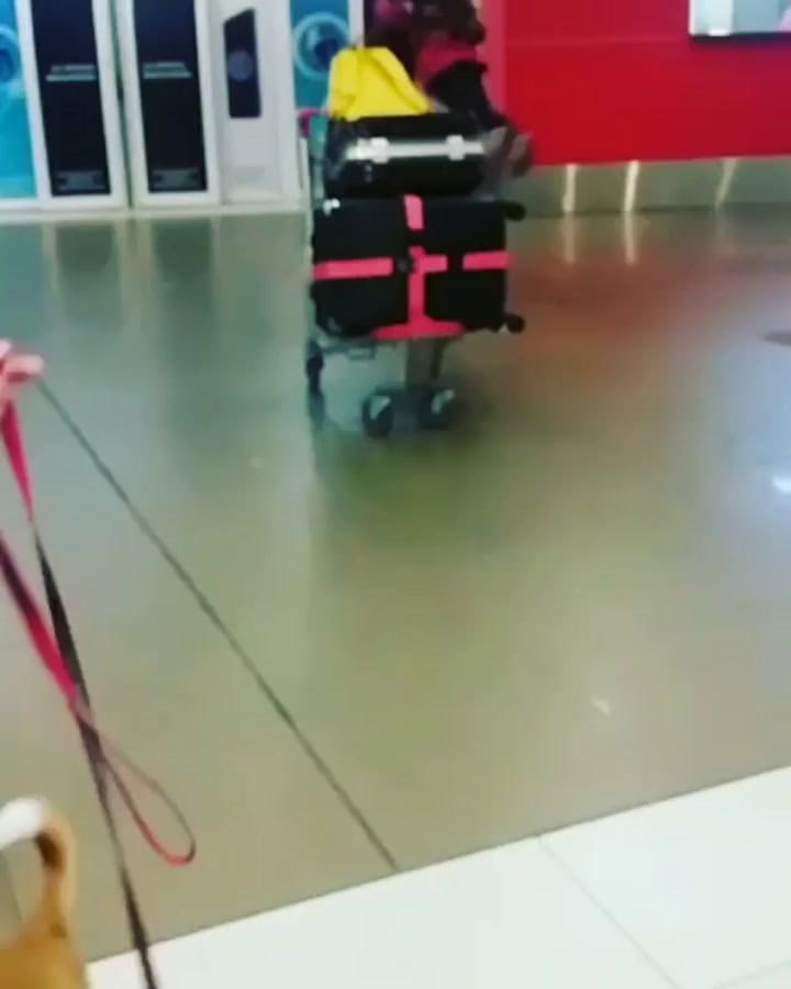 El reencuetro de Piyo con Nahuel y su esposa