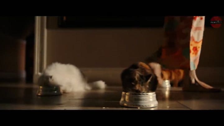 Tráiler Bohemian Rhapsody: La historia de Freddie Mercury (Video: Youtube FilmSelect Español)