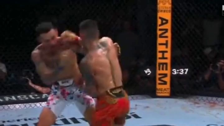 Diseño Sin Título (4)