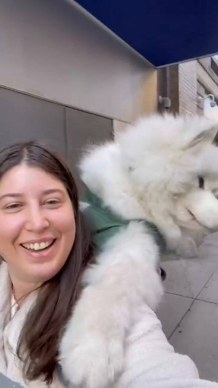 Lumi, el perro que viaja en subte abrazado a la espalda de su dueña y se volvió toda una celebridad