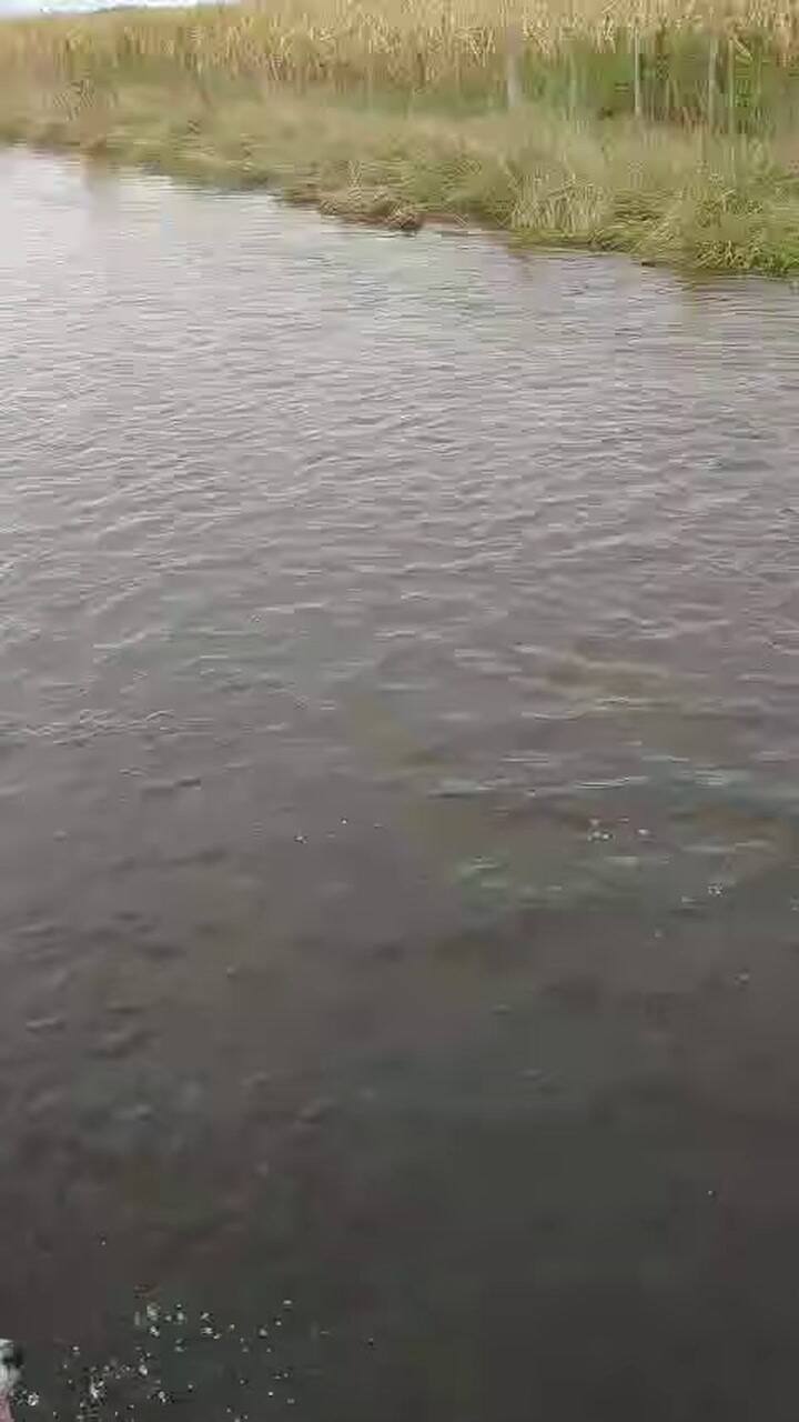 Los caminos rurales se convirtieron en un problema logístico para los productores