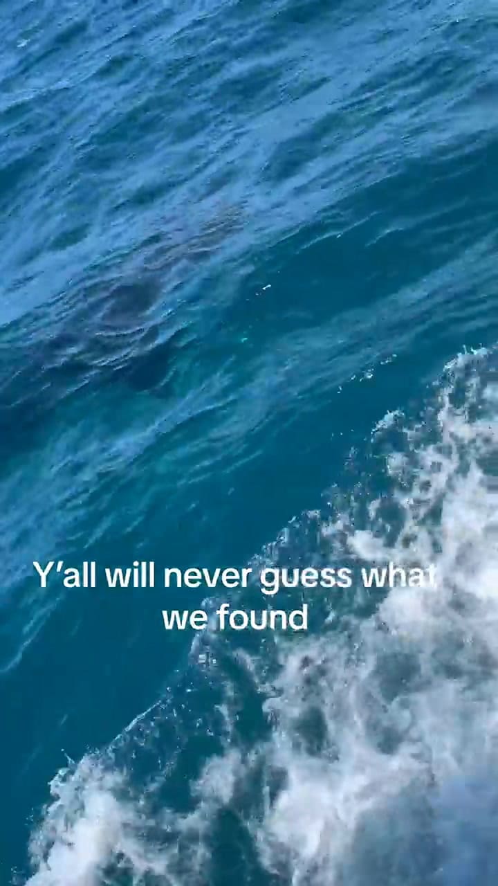 Hombres descubren a un tiburón ballena en el mar del Golfo de Texas