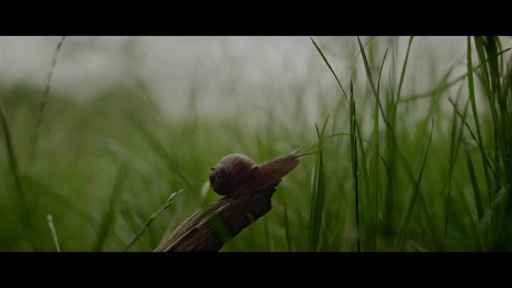 Sigur Rós - Ekki Múkk