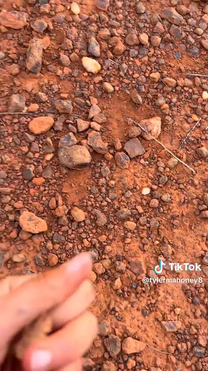 El increíble hallazgo de oro