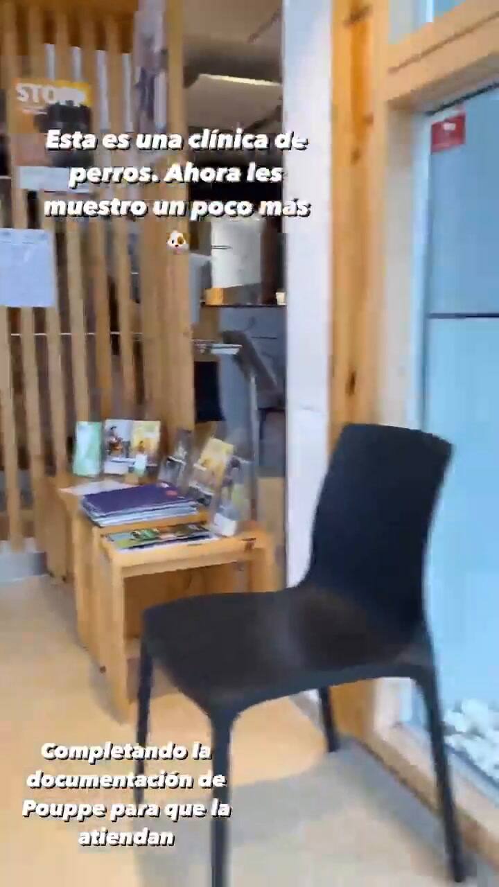 El video en la clínica de perros que compartió Evangelina Anderson