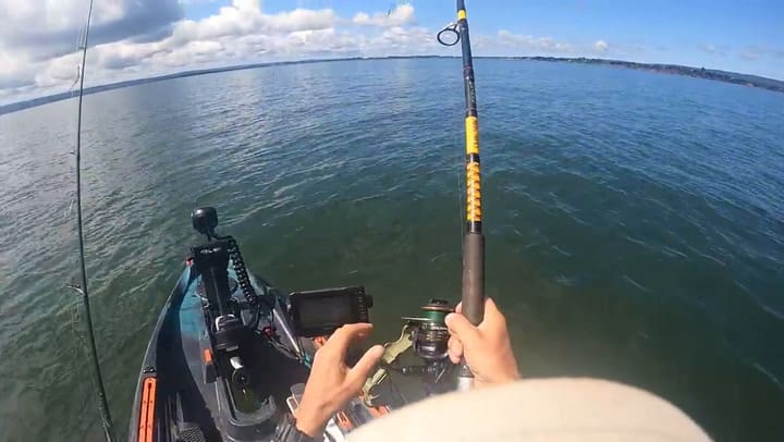 Un hombre atrapa a un tiburón mientras paseaba en kayak