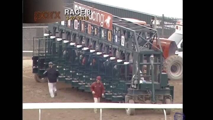 El triunfo de Golden State, la madre de La Scaloneta