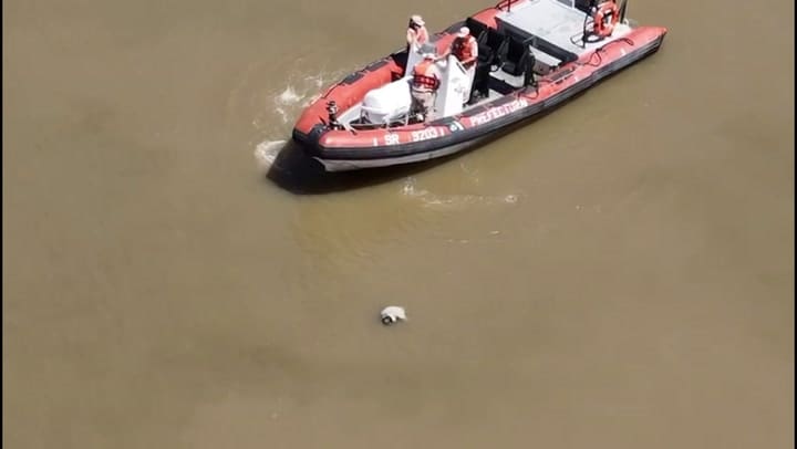 Encontraron un cuerpo en el Dique 2 de Puerto Madero