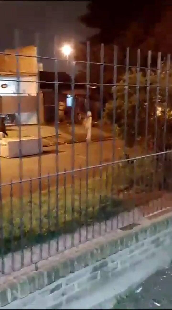 San-Fernando-balacera