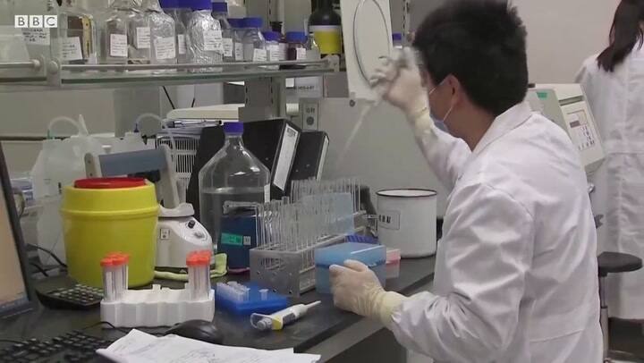 Qué es una sindemia - Fuente: BBC Mundo