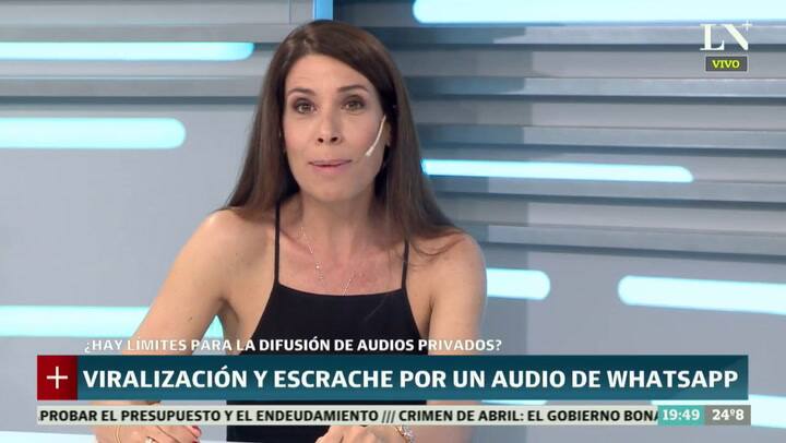 El audio de 'la cheta de Nordelta': el límite entre lo público y lo privado