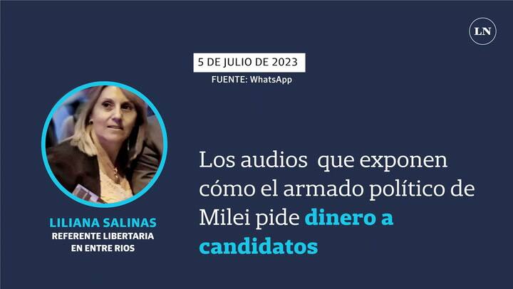 Los audios de Liliana Salinas que confirman el intercambio de candidaturas por dólares