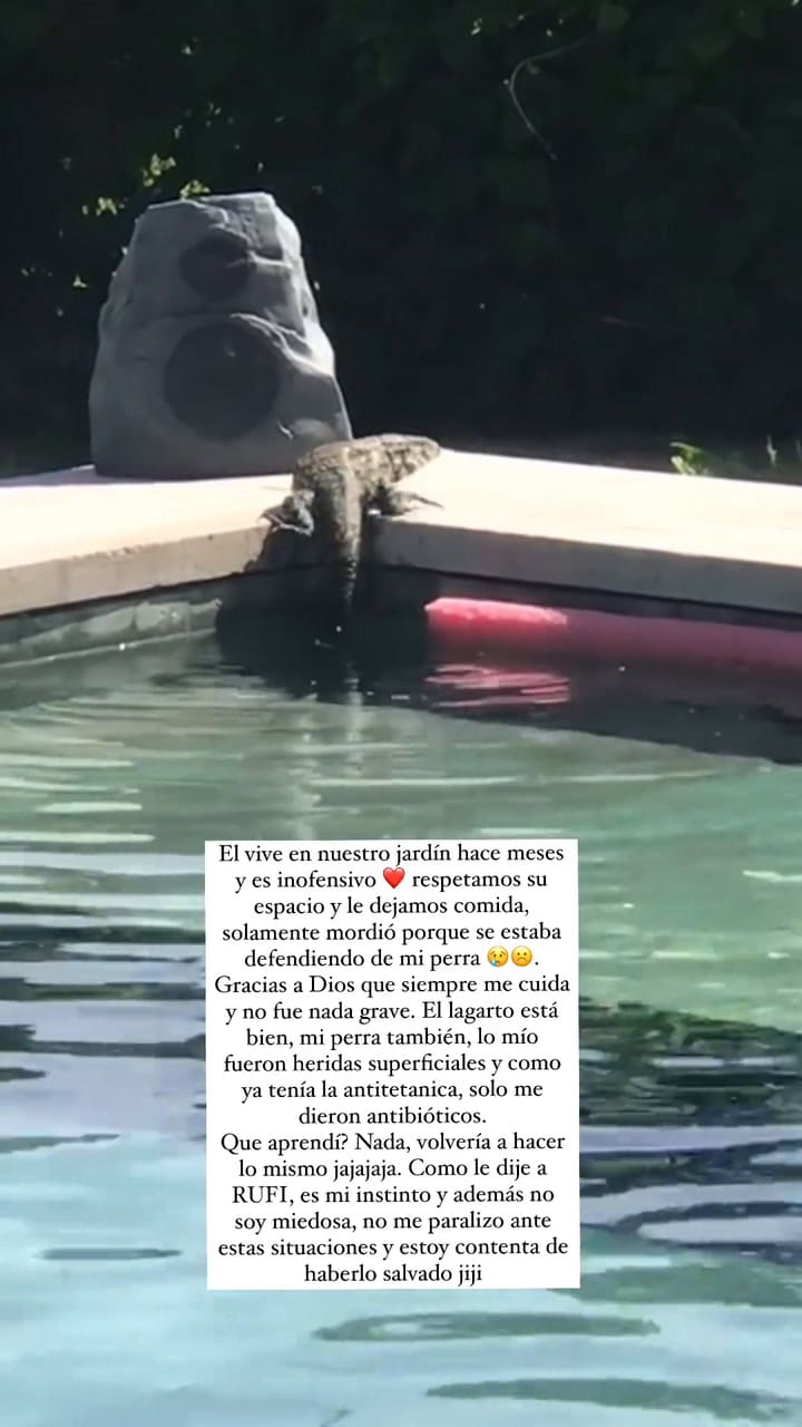 El lagarto que vive en el patio de la casa de la China Suárez