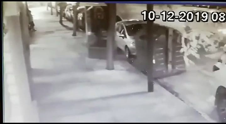 La banda de los falsos paseadores de perros en acción