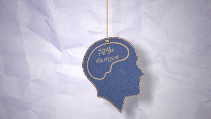 Por qué tenés que hidratarte para ayudar a tu cerebro