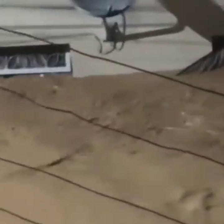 Nuevas víctimas fueron encontradas en diferentes barrios de la ciudad, entre ellos Paineiras, Esplanada y Vila Ideal